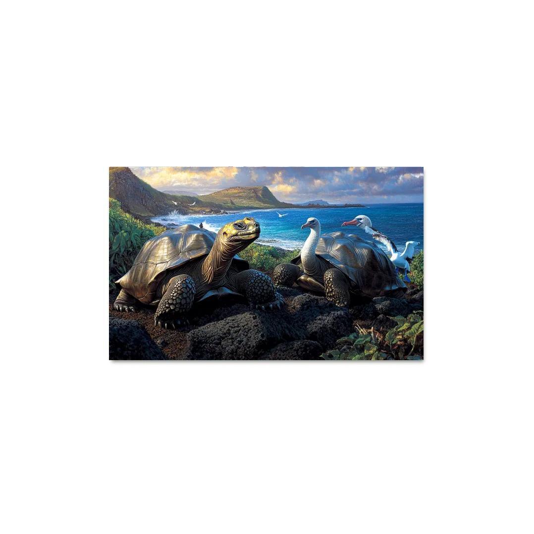 Galapagos Islands Ecuador canvas paintings frame