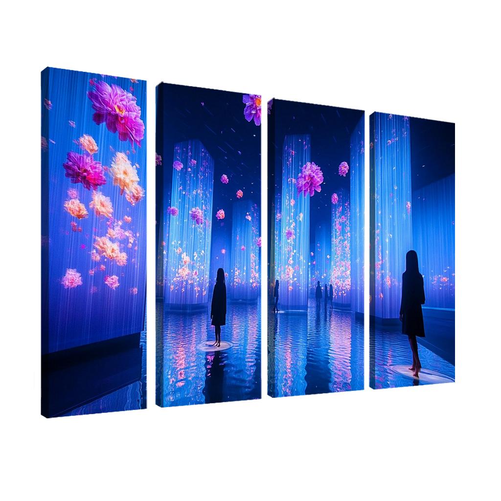 Teamlab Planets Tokyo framed paintings