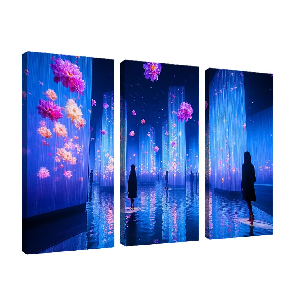 Teamlab Planets Tokyo framed paintings