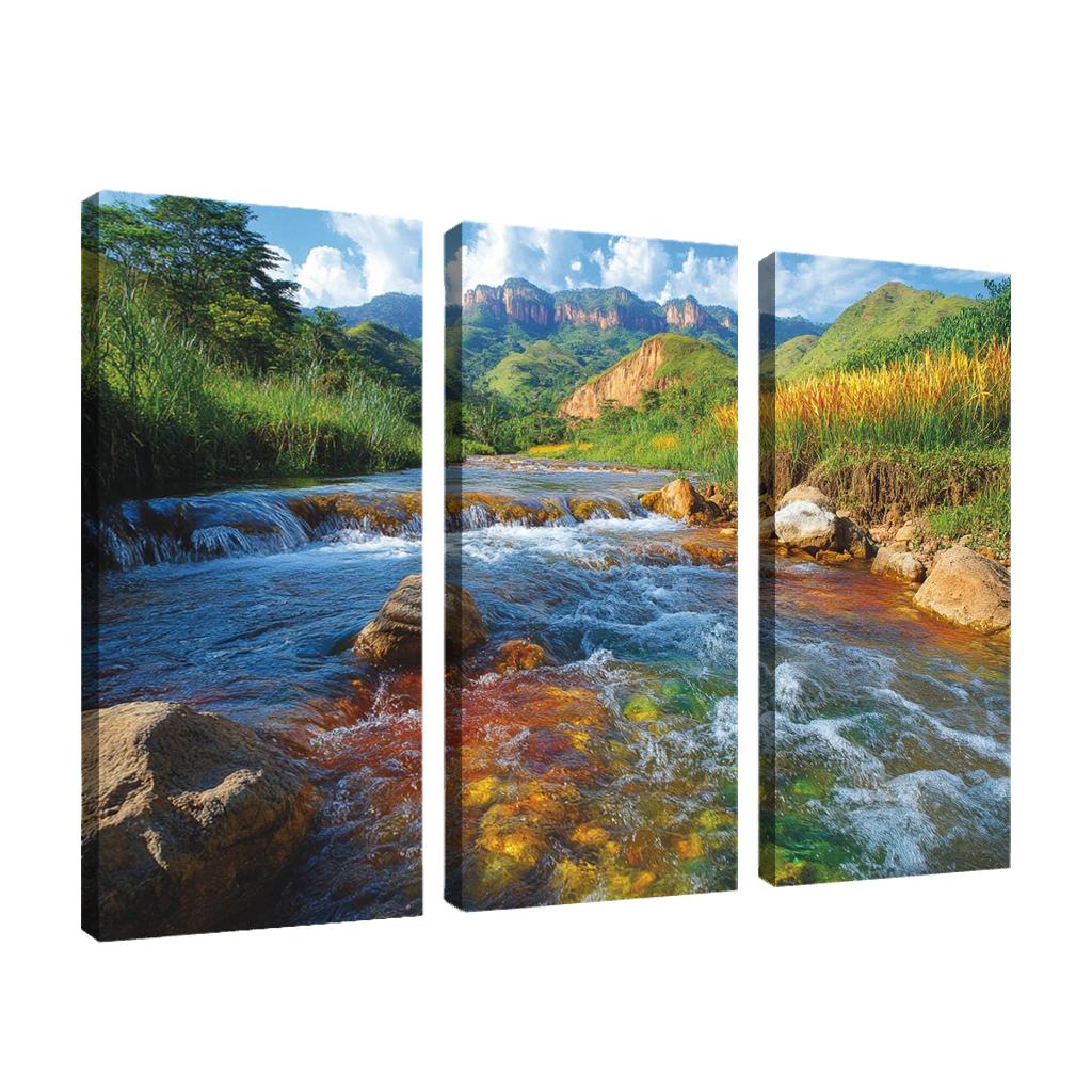 Cano Cristales River La Macarena Colombia framed paintings