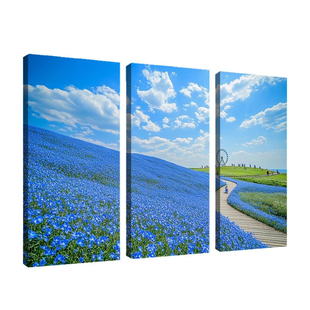 Hitachi Seaside Park Blue Nemophila Fields Hitachinaka Japan premium artwork frames