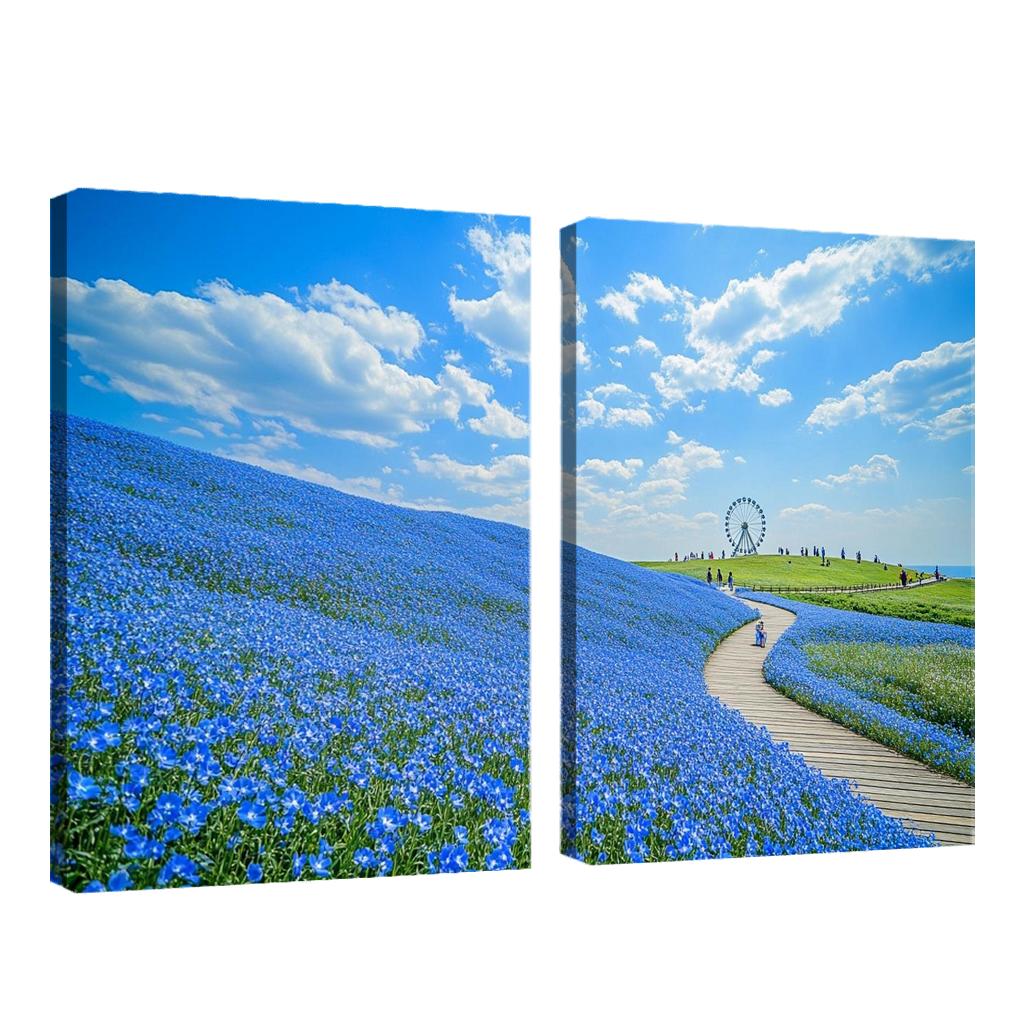 Hitachi Seaside Park Blue Nemophila Fields Hitachinaka Japan premium artwork frames