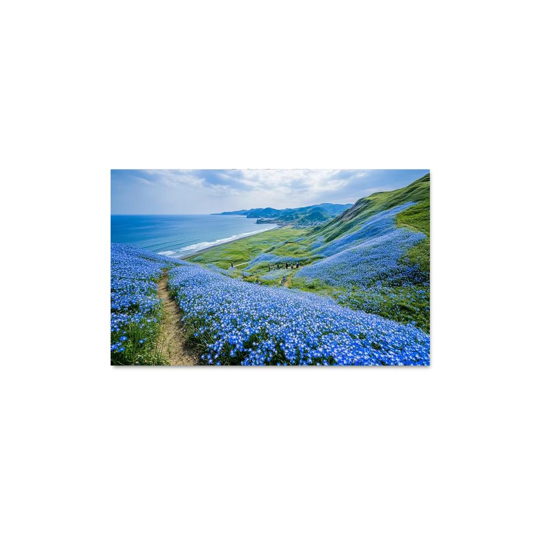 Hitachi Seaside Park Flower Fields wall decor