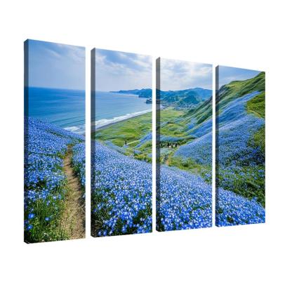 Hitachi Seaside Park Flower Fields wall decor