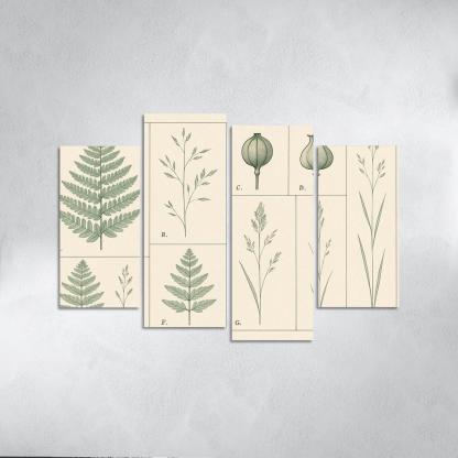 Botanical Blueprint Pressed Ferns And Seed Pods premium artwork frames