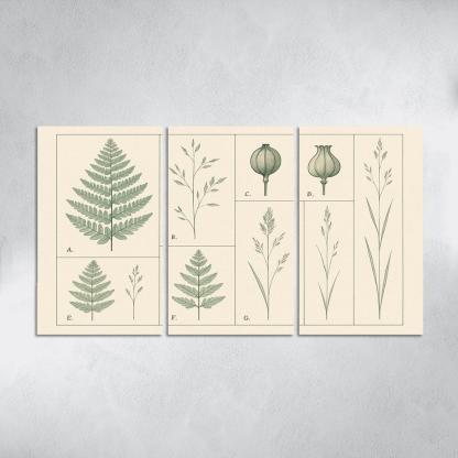 Botanical Blueprint Pressed Ferns And Seed Pods premium artwork frames