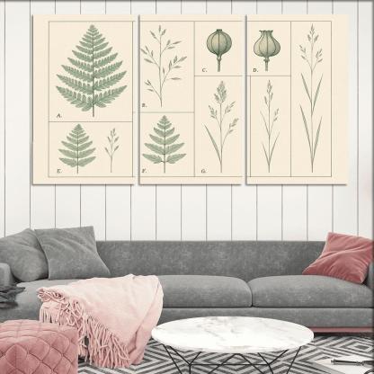 Botanical Blueprint Pressed Ferns And Seed Pods premium artwork frames