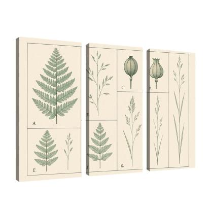 Botanical Blueprint Pressed Ferns And Seed Pods premium artwork frames