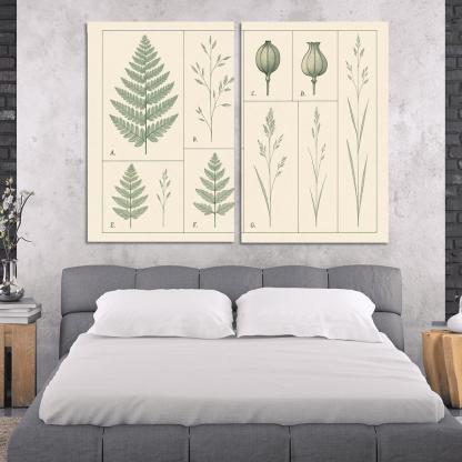 Botanical Blueprint Pressed Ferns And Seed Pods premium artwork frames