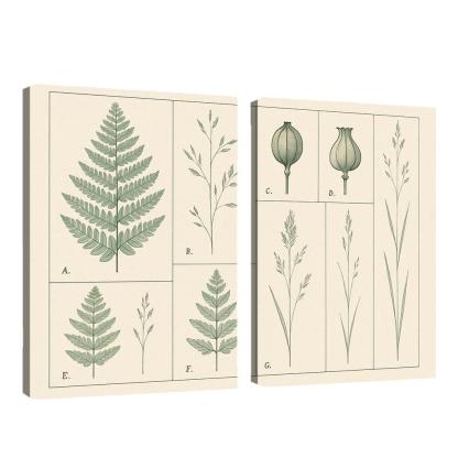 Botanical Blueprint Pressed Ferns And Seed Pods premium artwork frames