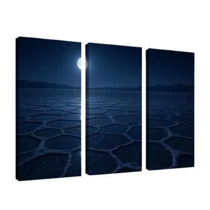 Moonlit Frost Over Silent Salt Flats wall art