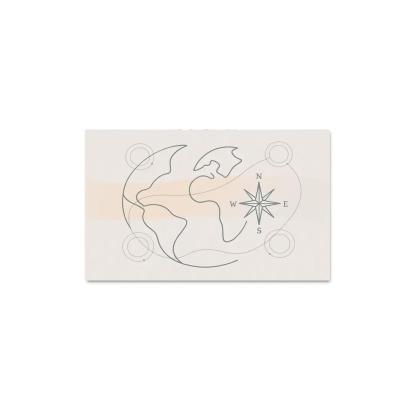 Passport Windrose Drift canvas paintings frame