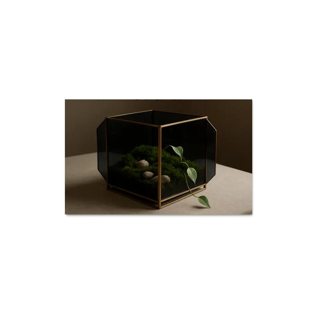 Smoked Glass Terrarium Coffee Table Centerpiece With Brass Framework wall decor
