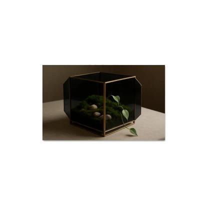 Smoked Glass Terrarium Coffee Table Centerpiece With Brass Framework wall decor