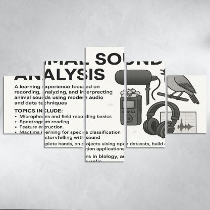 Practical Bioacoustics Listening To Nature With Signal Processing canvas paintings frame