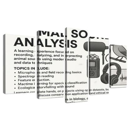 Practical Bioacoustics Listening To Nature With Signal Processing canvas paintings frame