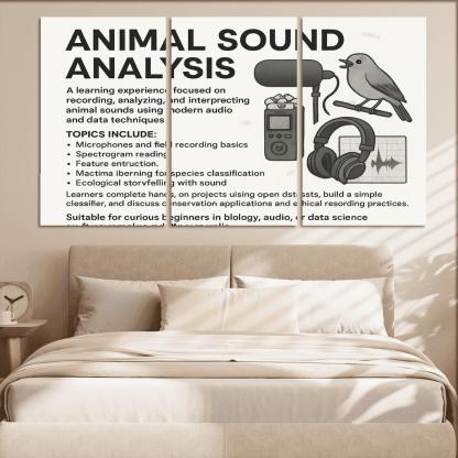 Practical Bioacoustics Listening To Nature With Signal Processing canvas paintings frame