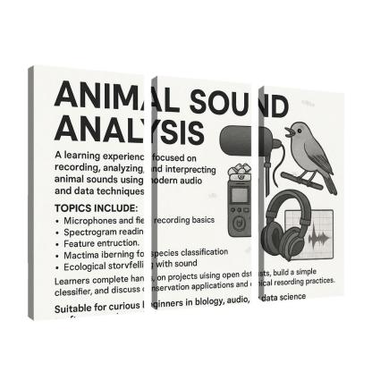 Practical Bioacoustics Listening To Nature With Signal Processing canvas paintings frame