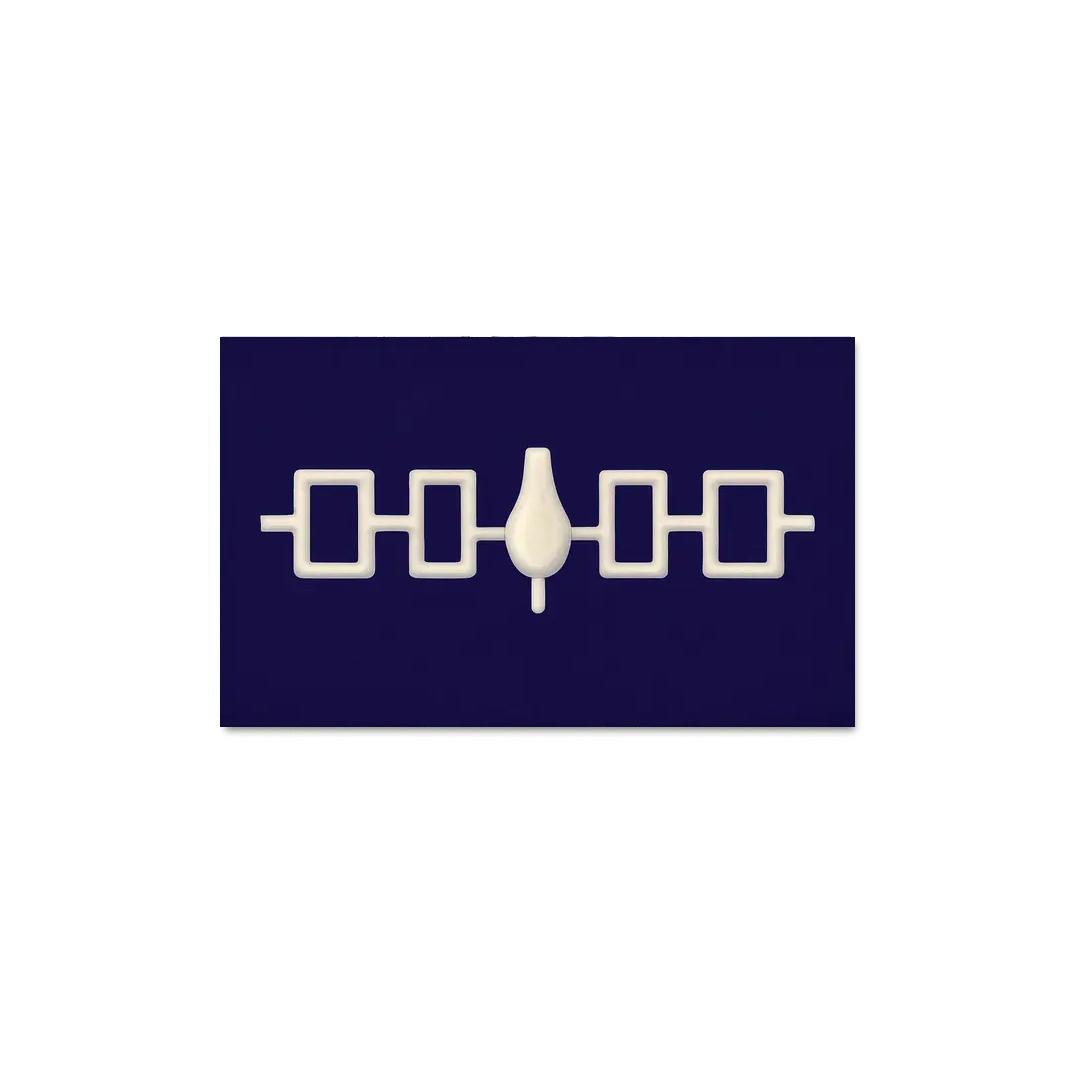 Hiawatha Wampum Symbol The Flag Of The Iroquois Confederacy wall decor
