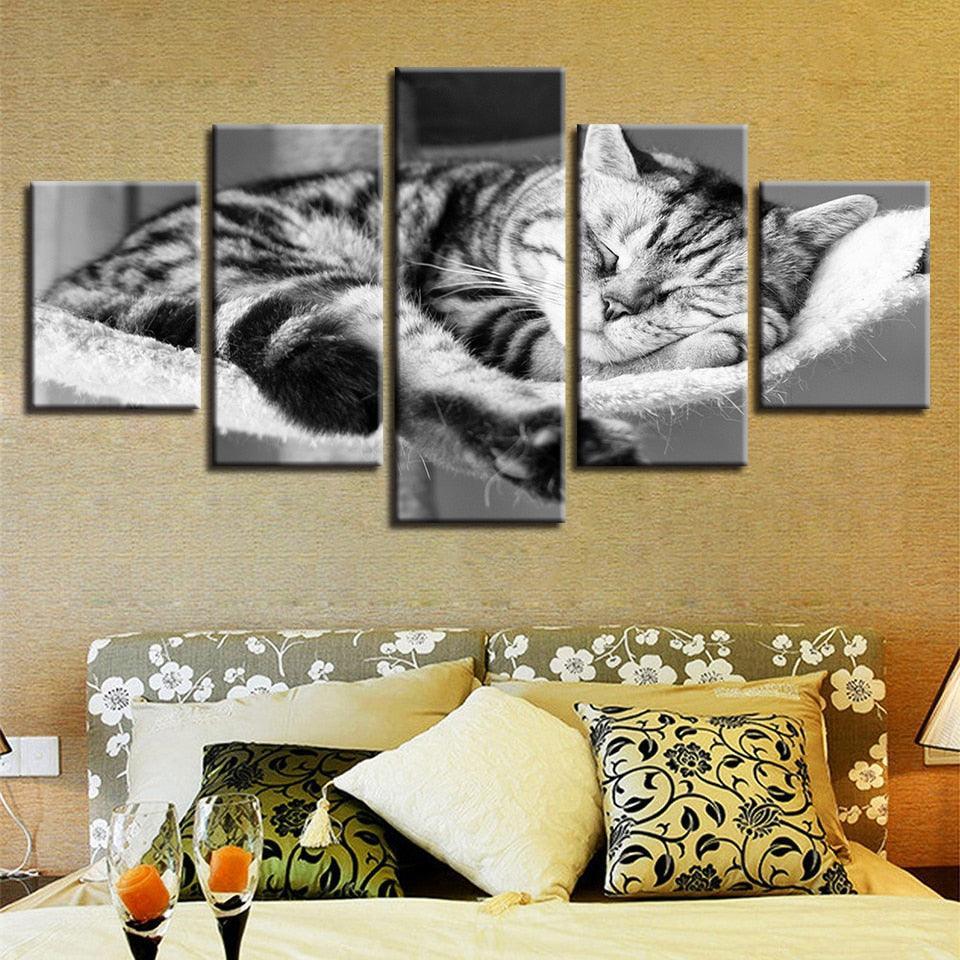 Sleeping Cat 5 Piece HD Multi Panel Canvas Wall Art Frame-Original Frame
