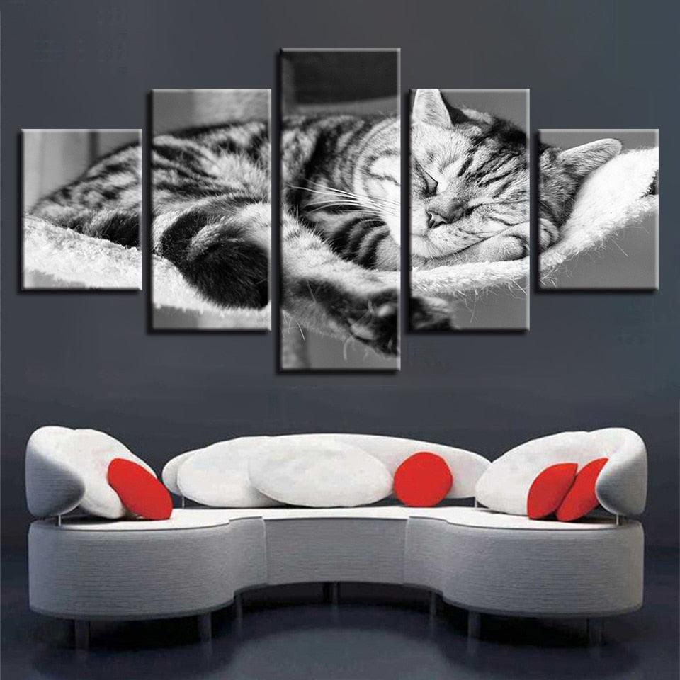 Sleeping Cat 5 Piece HD Multi Panel Canvas Wall Art Frame-Original Frame