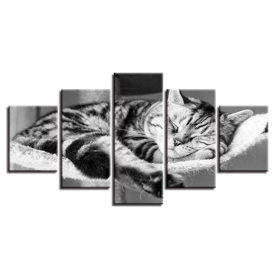 Sleeping Cat 5 Piece HD Multi Panel Canvas Wall Art Frame-Original Frame