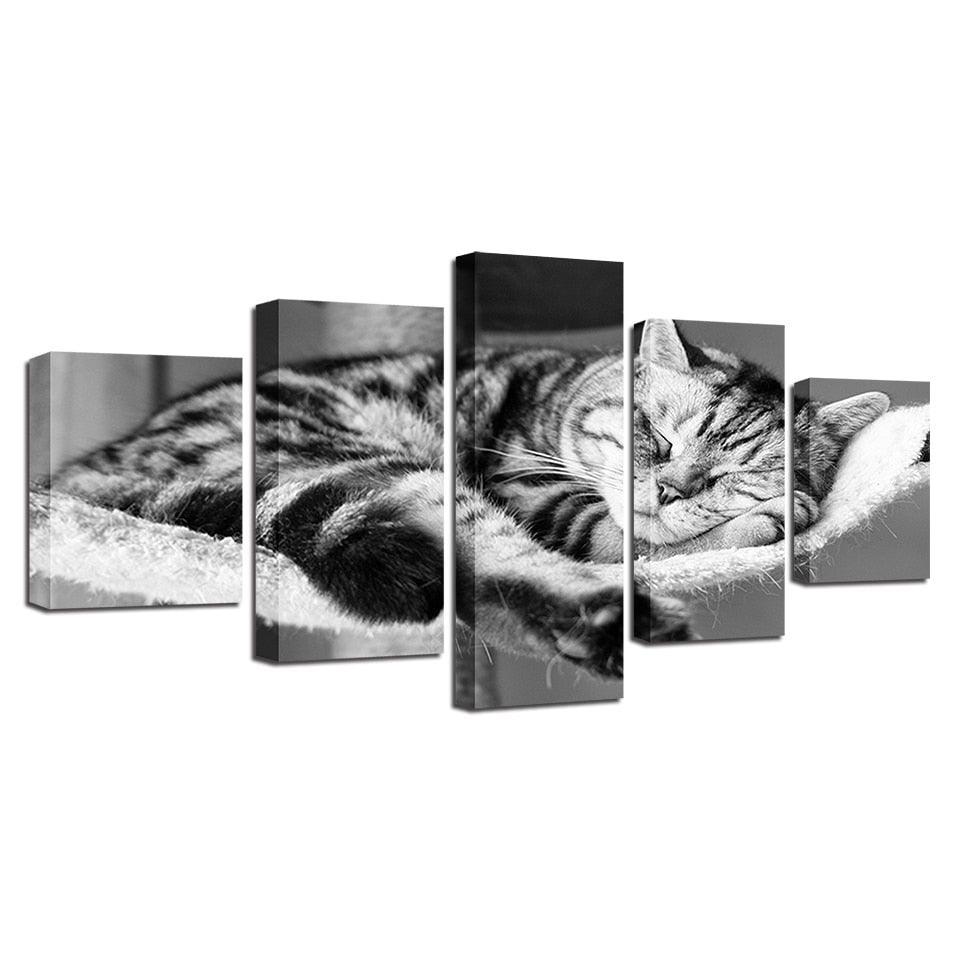 Sleeping Cat 5 Piece HD Multi Panel Canvas Wall Art Frame-Original Frame