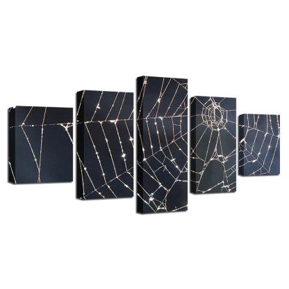 Spider Web 5 Piece HD Multi Panel Canvas Wall Art Frame-Original Frame