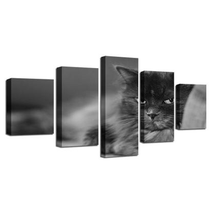 Cute Cat 5 Piece HD Multi Panel Canvas Wall Art Frame-Original Frame