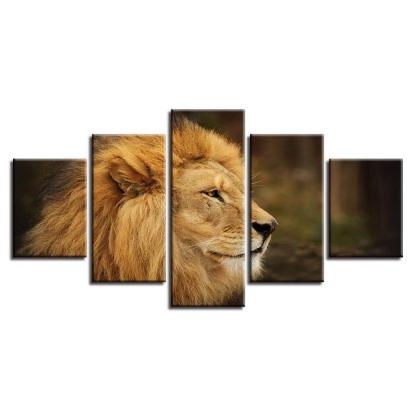 Proud Lion 5 Piece HD Multi Panel Canvas Wall Art-Original Frame