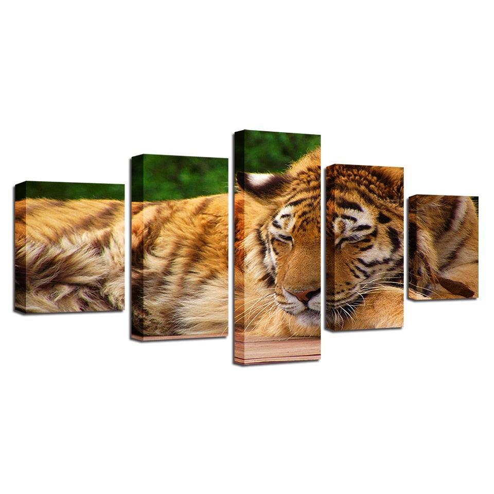 Tiger 5 Piece HD Multi Panel Canvas Wall Art Frame-Original Frame