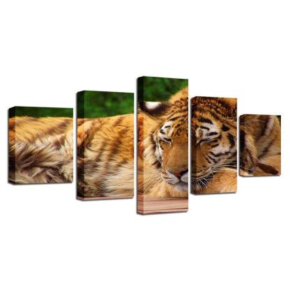 Tiger 5 Piece HD Multi Panel Canvas Wall Art Frame-Original Frame