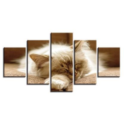 Lazy Sleeping Cat 5 Piece HD Multi Panel Canvas Wall Art Frame-Original Frame