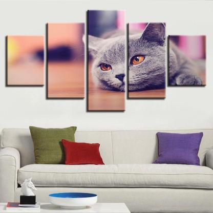 Cat 5 Piece HD Multi Panel Canvas Wall Art-Original Frame
