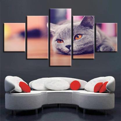 Cat 5 Piece HD Multi Panel Canvas Wall Art-Original Frame
