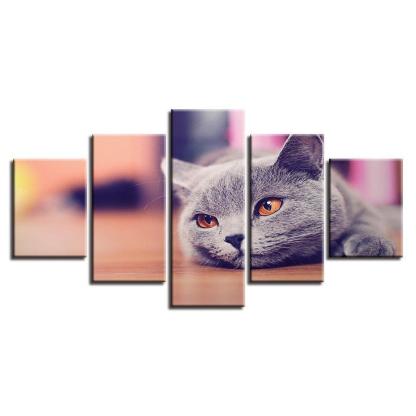Cat 5 Piece HD Multi Panel Canvas Wall Art-Original Frame