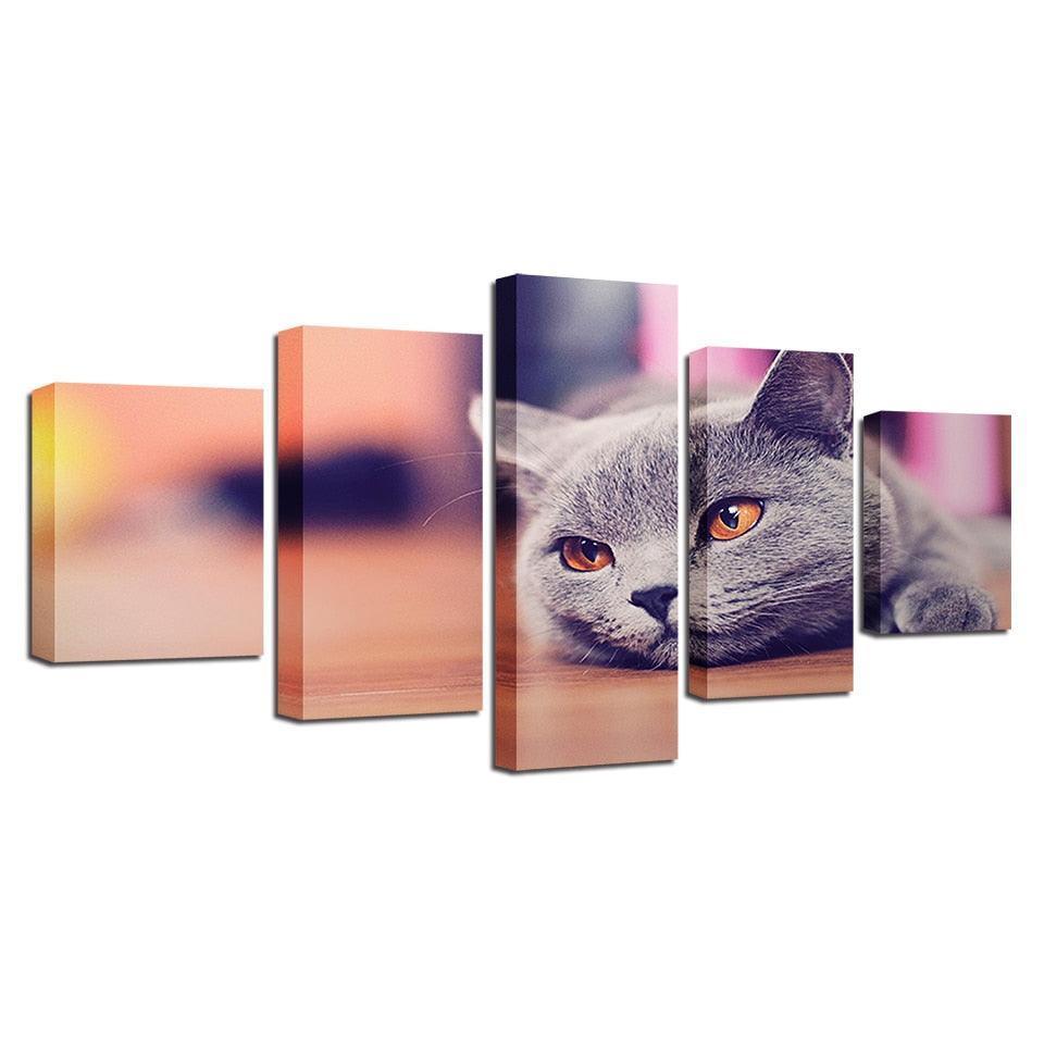 Cat 5 Piece HD Multi Panel Canvas Wall Art-Original Frame