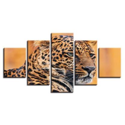 Leopard 5 Piece HD Multi Panel Canvas Wall Art Frames-Original Frame