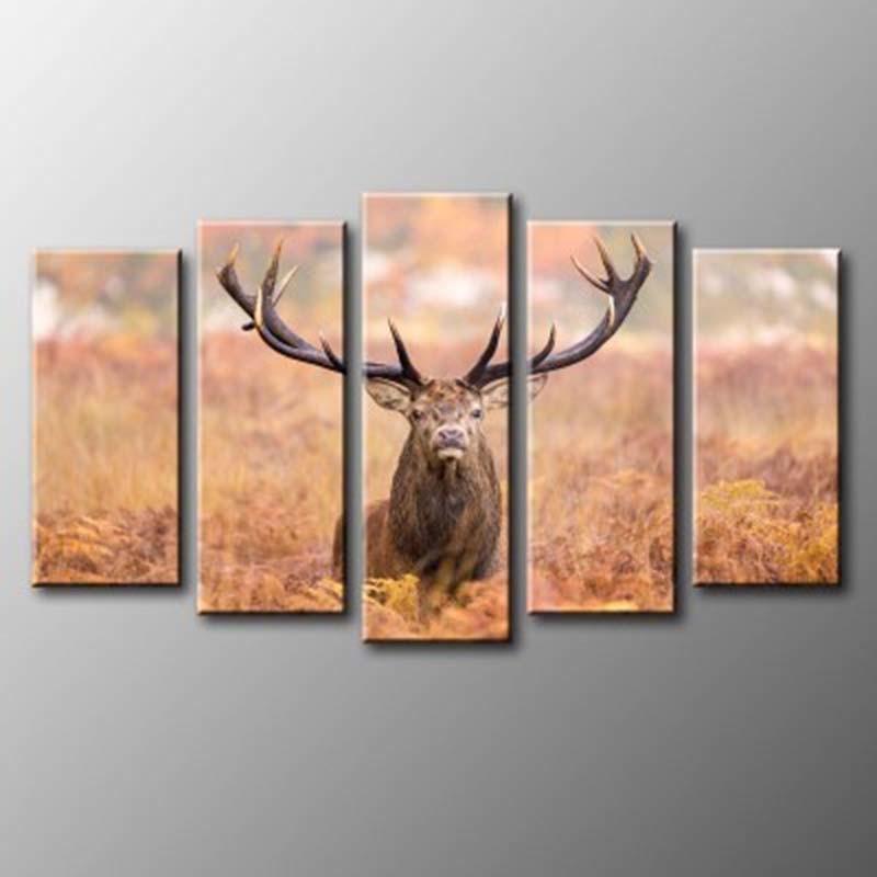 Elk Portrait 5 Piece HD Multi Panel Canvas Wall Art Frame-Original Frame