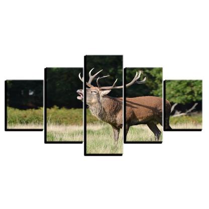 Forest Steppe Deer 5 Piece HD Multi Panel Canvas Wall Art Frame-Original Frame