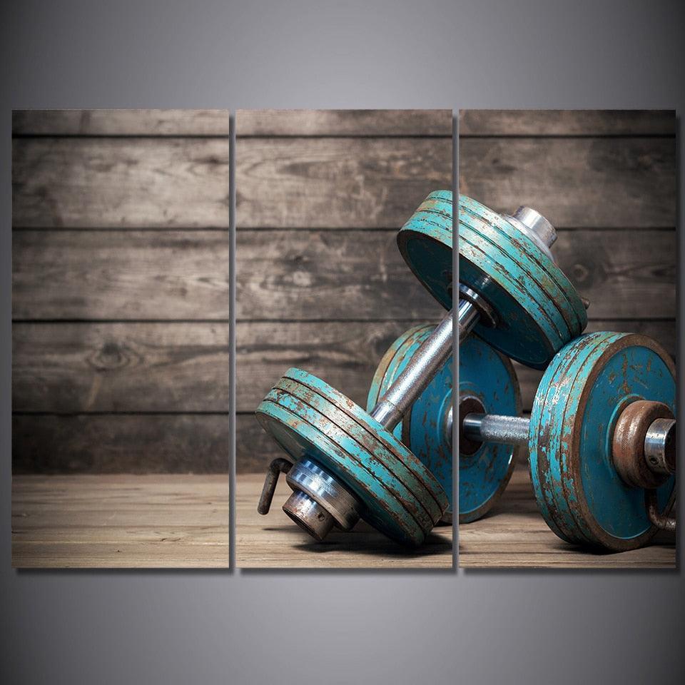 Dumbbell Print 3 Piece HD Multi Panel Canvas Wall Art Frame-Original Frame