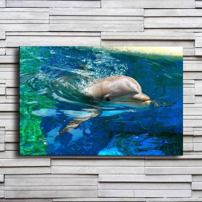 Dolphin In Water 1 Piece HD Multi Panel Canvas Wall Art Frame-Original Frame