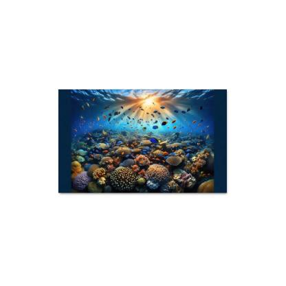 Sunset Reef Snorkel Under Vibrant Colors Custom Paintings Frame