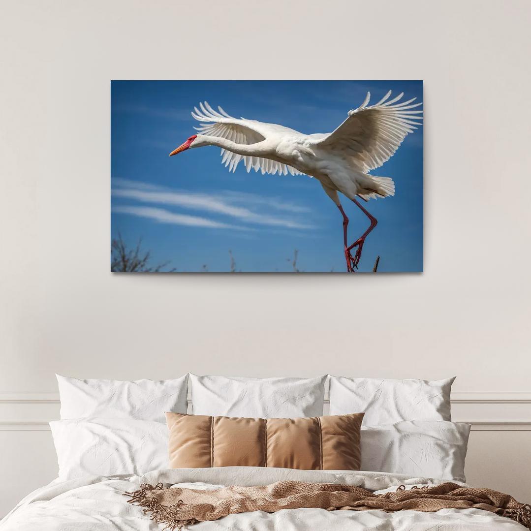 The Majestic Siberian Crane Harbingers Of Change Canvas Paintings Frame