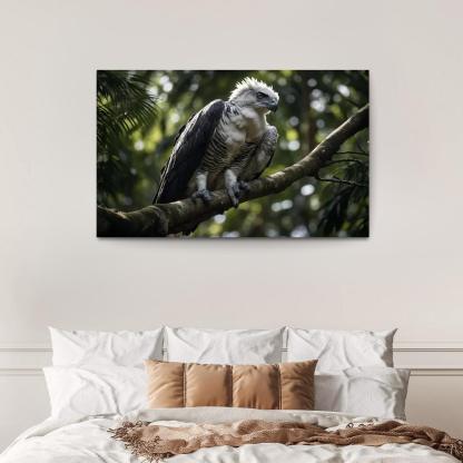 The Regal Harpy Eagle Master Of The Forest Canopy Modern Paintings Frame
