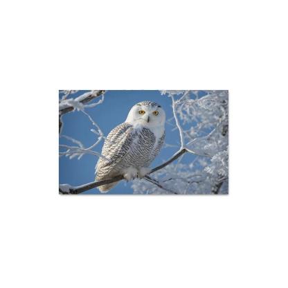The Enchanting Snowy Owl In The Arctic Canvas Paintings Frame