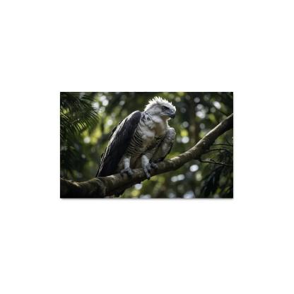 The Regal Harpy Eagle Master Of The Forest Canopy Modern Paintings Frame