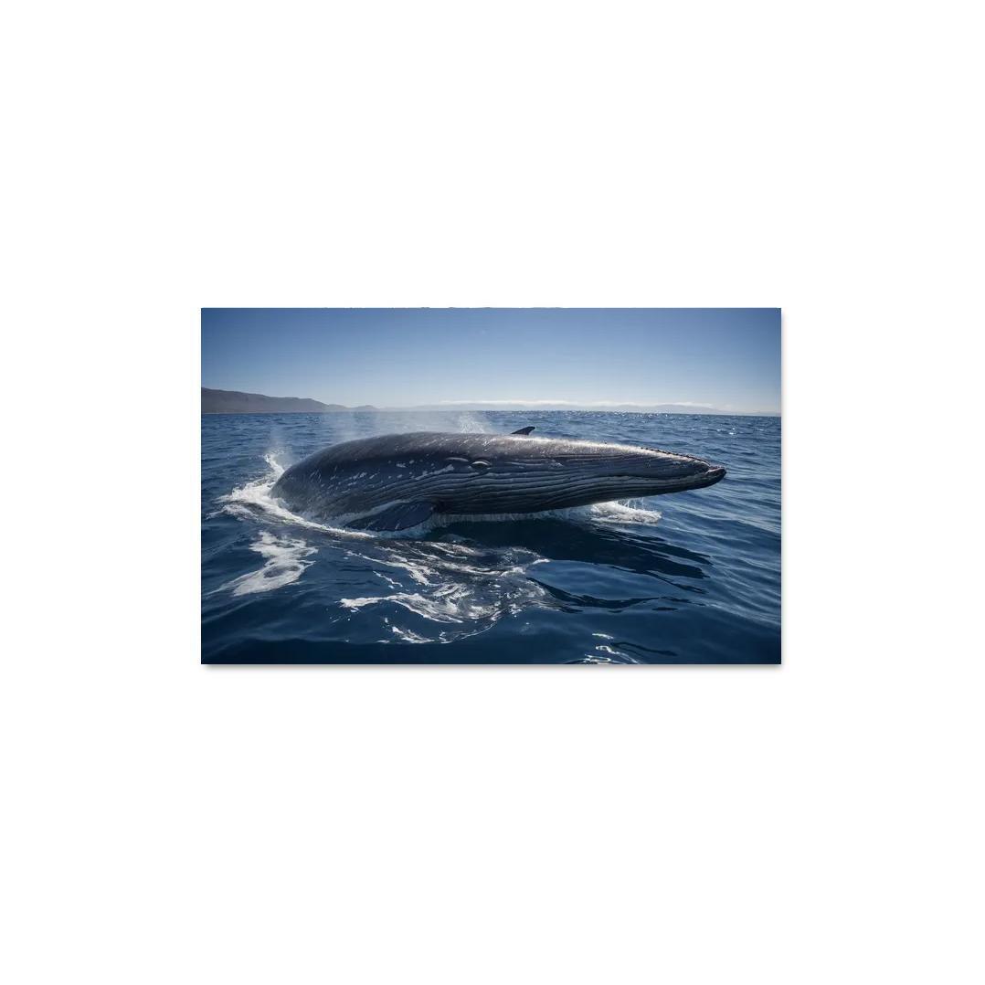 The Enigmatic Blue Whale The Largest Creature On Earth Custom Paintings Frame