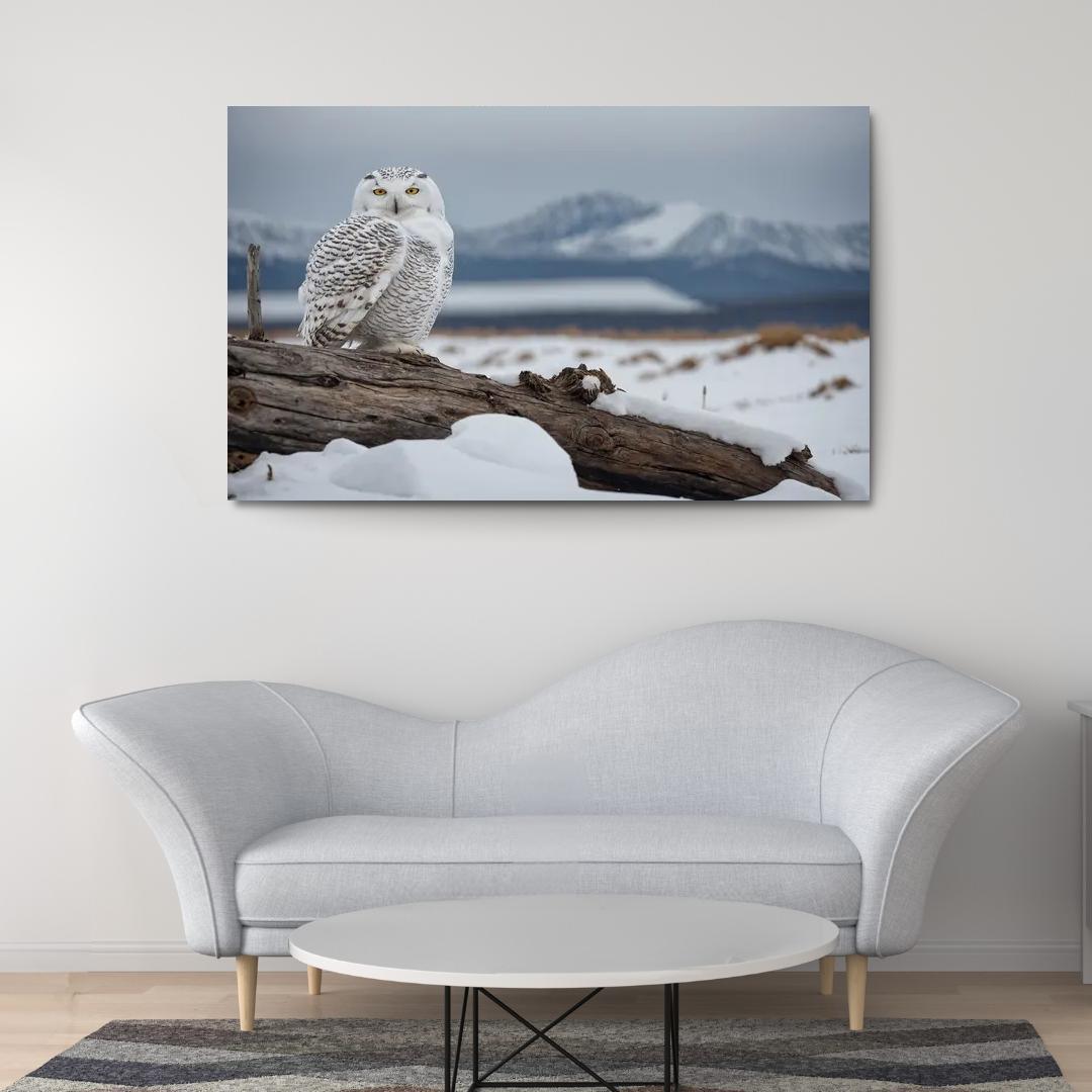 The Regal Snowy Owl Multi-panel Paintings