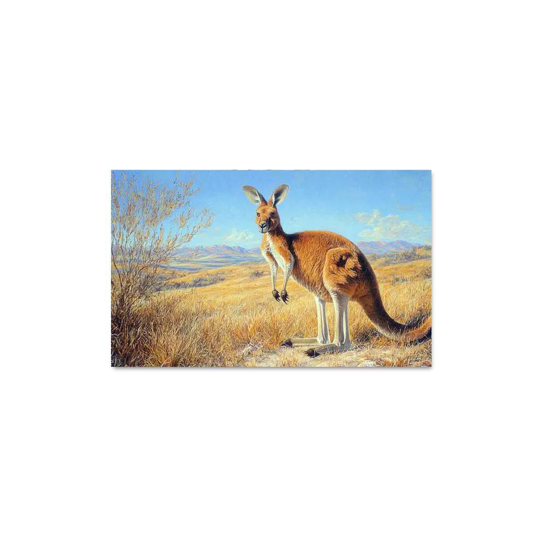 The Majestic Red Kangaroo The Australian Icon Art Trends